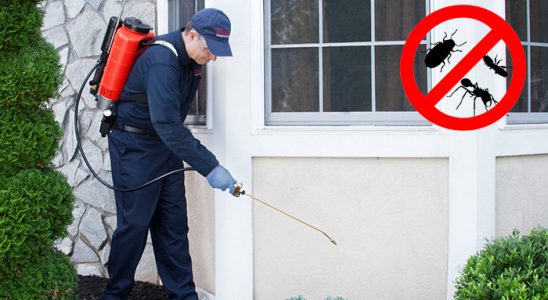 Çandır Böcek ve Haşere İlaçlama böcek ilaçlama ve haşere kontrolü — ilaclama-tr.com